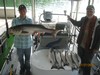 (07/27/2016) - Nice Striped Bass